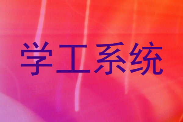 学工系统
