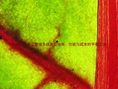 杭州高校学工管理系统选型指南:功能与成本的平衡之道