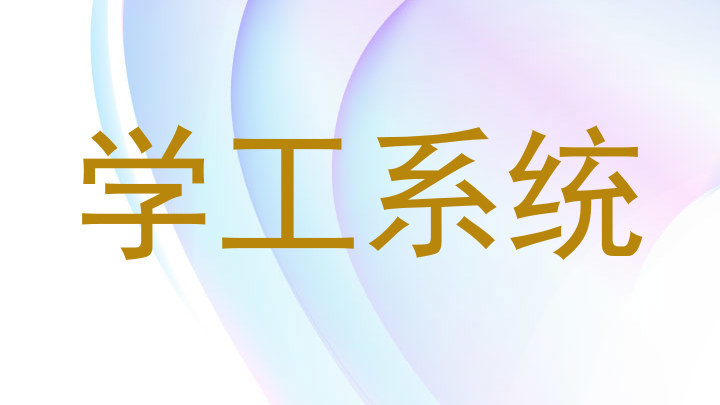 学工系统