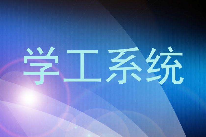 学工系统