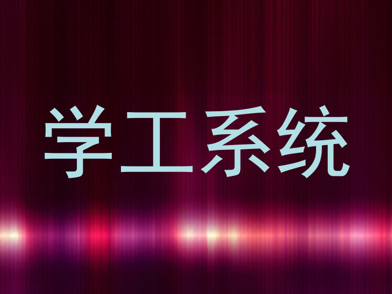 学工系统