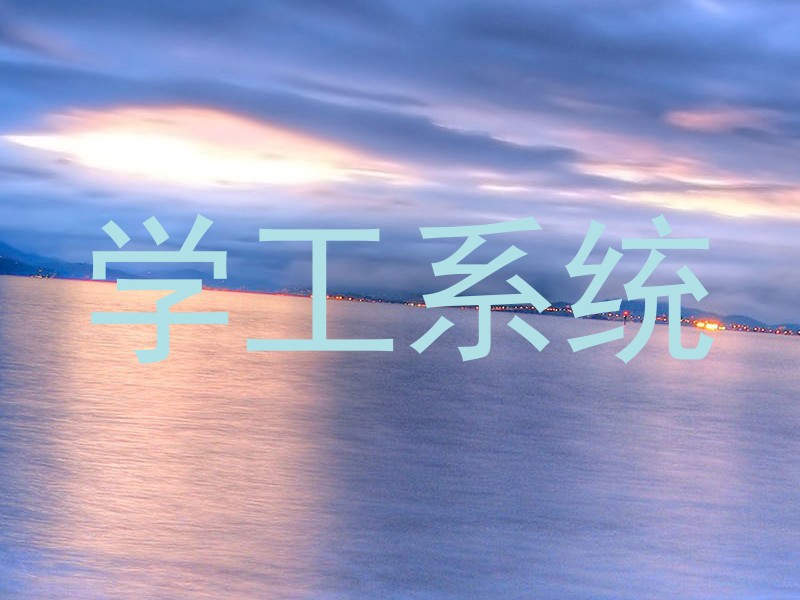 学工系统