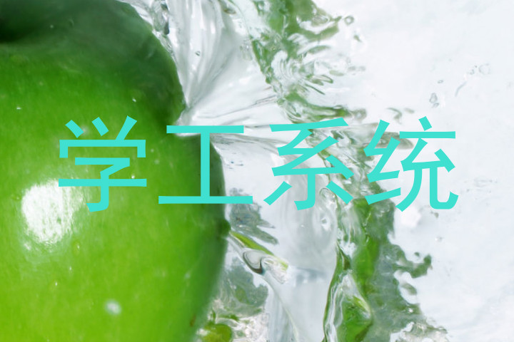 学工系统