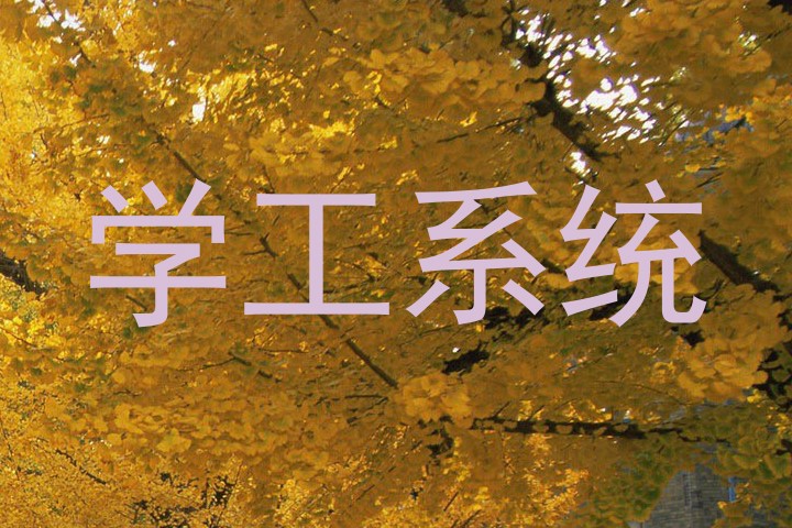 学工系统