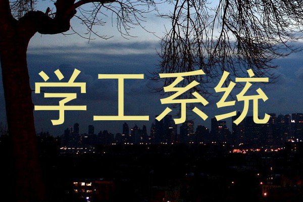 学工系统