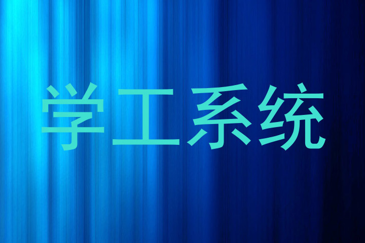 学工系统