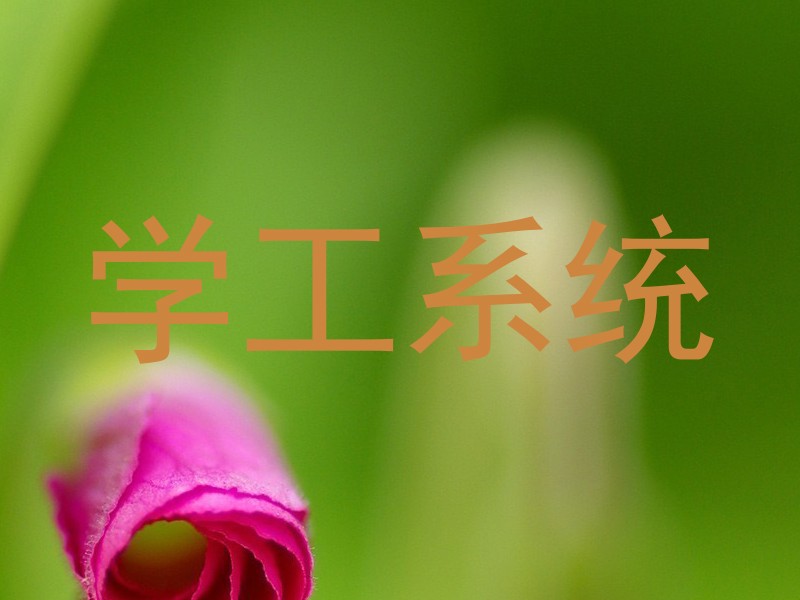 学工系统