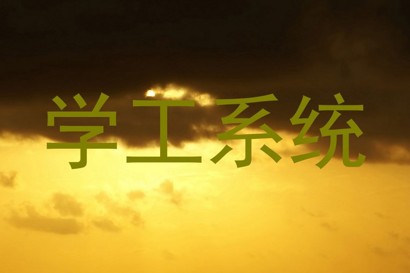 学工系统