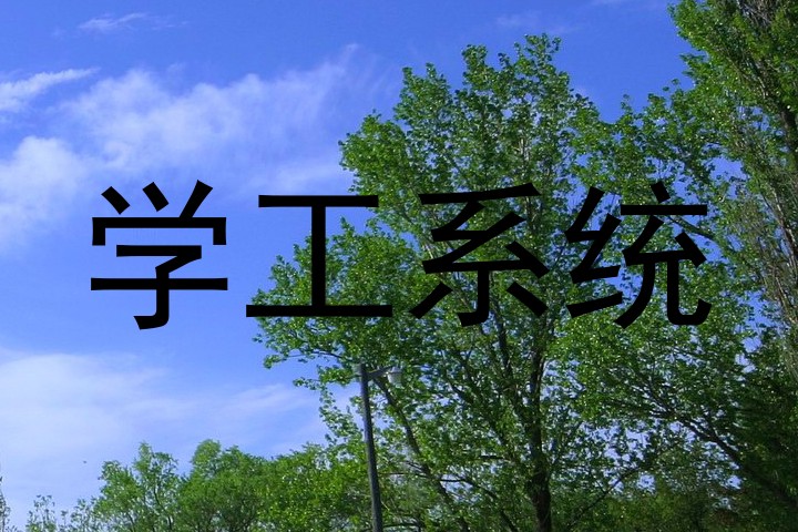 学工系统