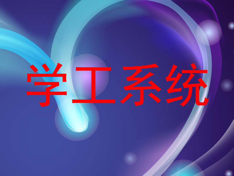 学工系统