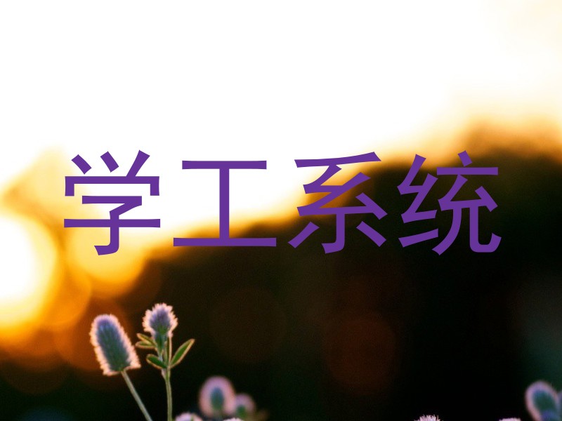 学工系统