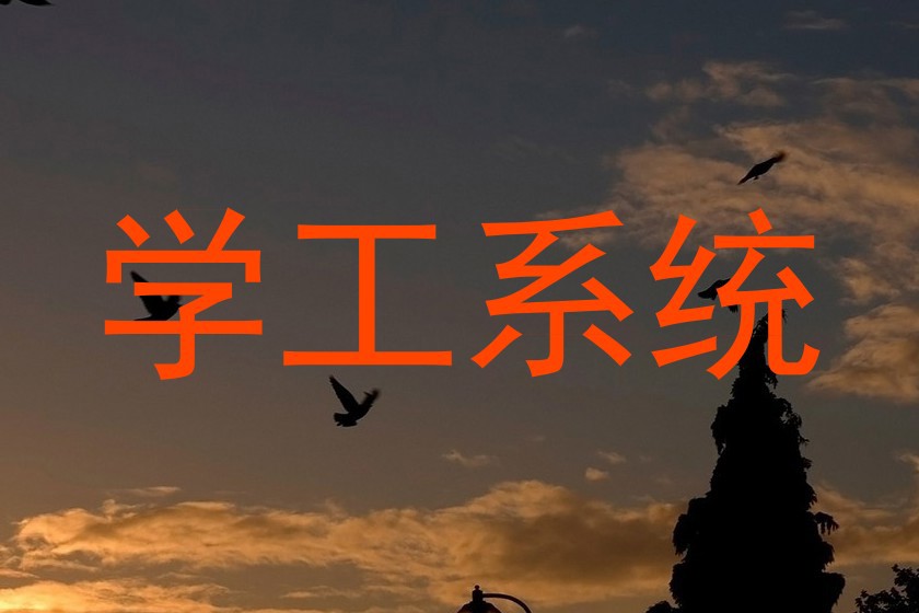 学工系统
