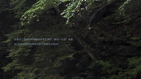 智慧学工管理如何破解高校学生事务“最后一公里”难题
## 信息化建设为何成为学工管理的必选项?