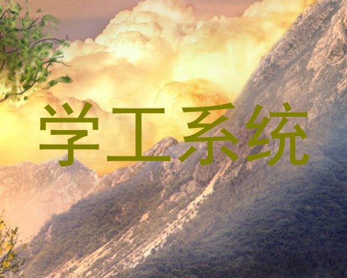 学工系统