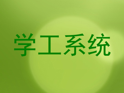 学工系统