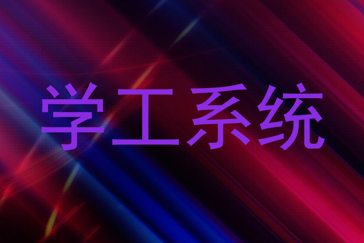 学工系统