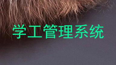 学工管理系统