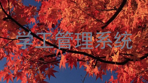 学工管理系统