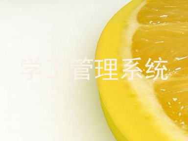 学工管理系统
