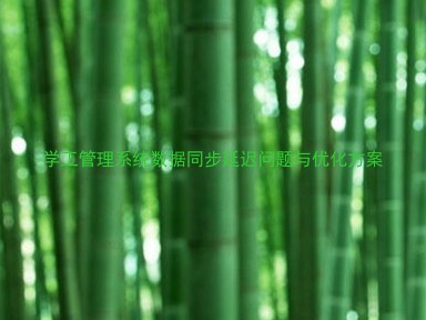 学工管理系统数据同步延迟问题与优化方案