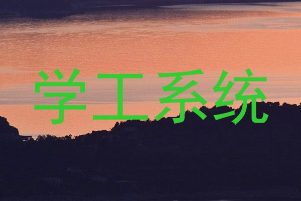 学工系统