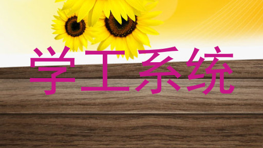 学工系统