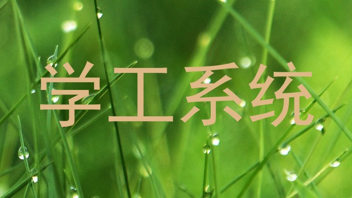 学工系统