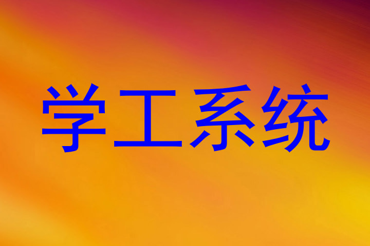 学工系统