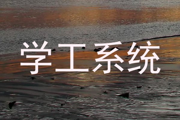 学工系统