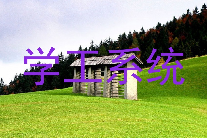 学工系统