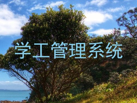 学工管理系统
