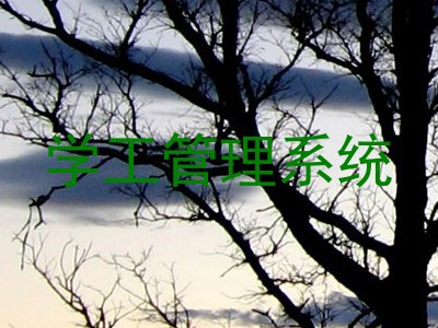 学工管理系统