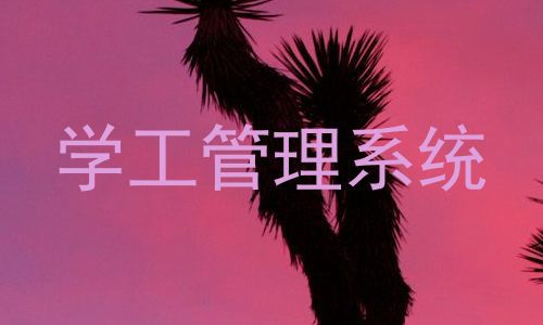 学工管理系统
