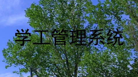 学工管理系统