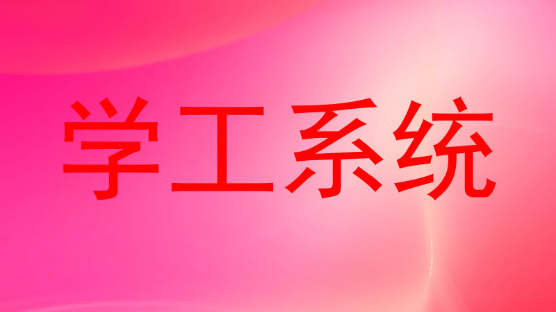 学工系统