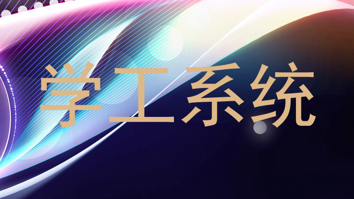 学工系统