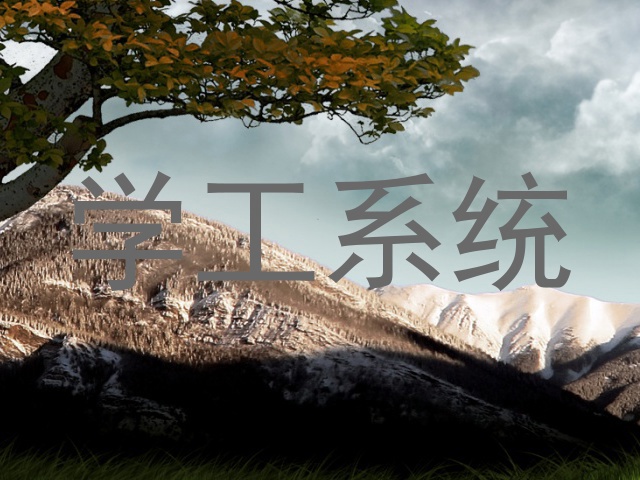 学工系统