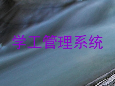 学工管理系统