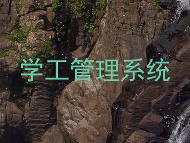 学工管理系统