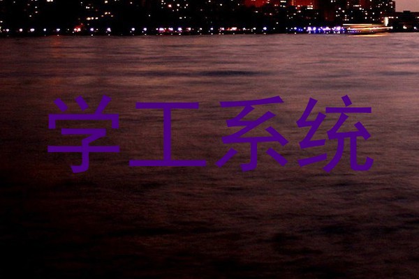 学工系统