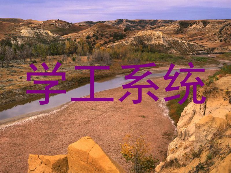 学工系统