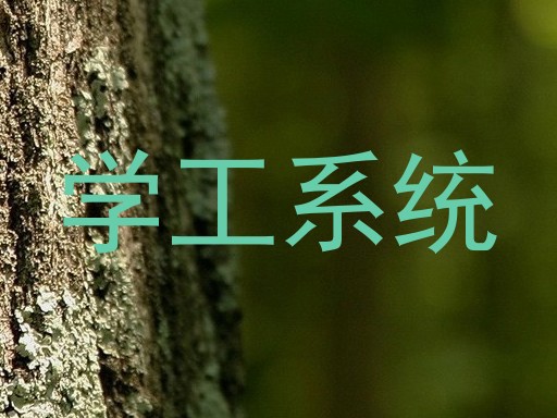 学工系统