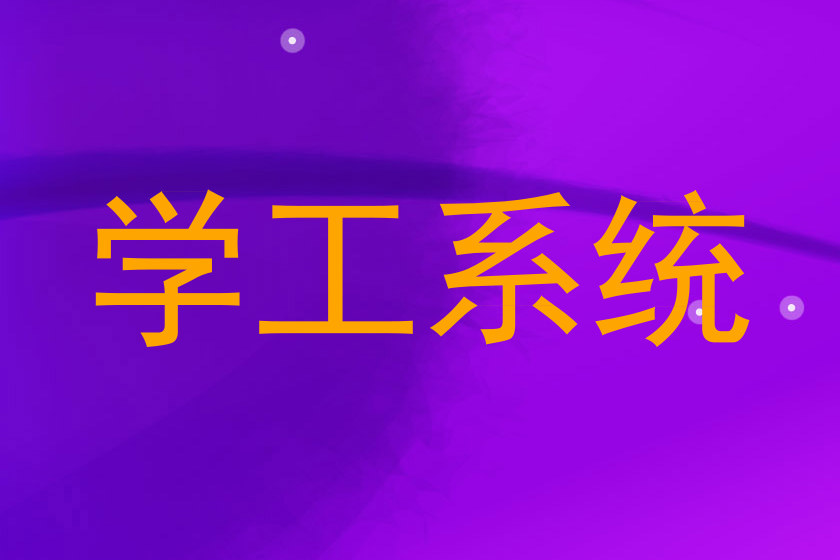 学工系统