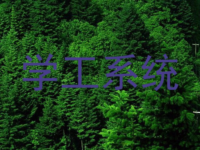 学工系统