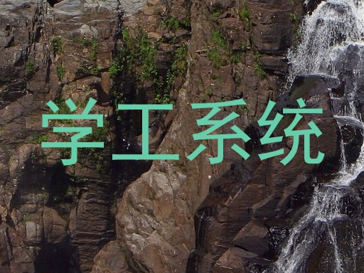 学工系统