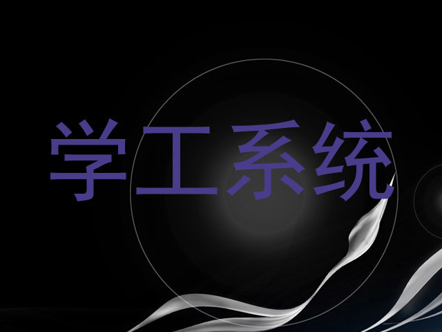 学工系统