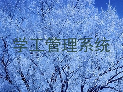 学工管理系统