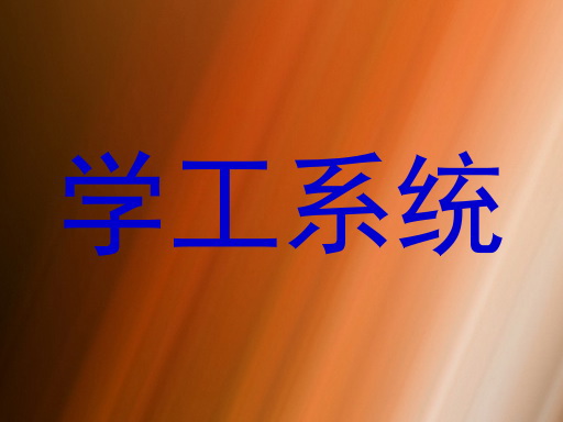 学工系统