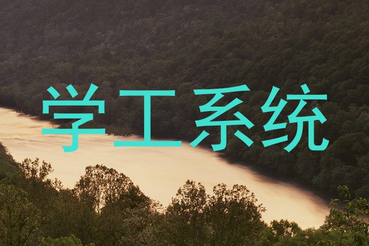学工系统