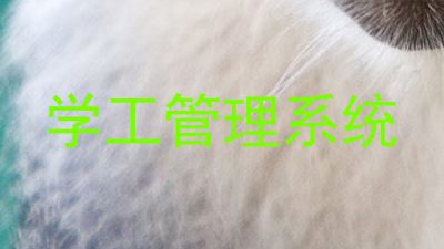 学工管理系统